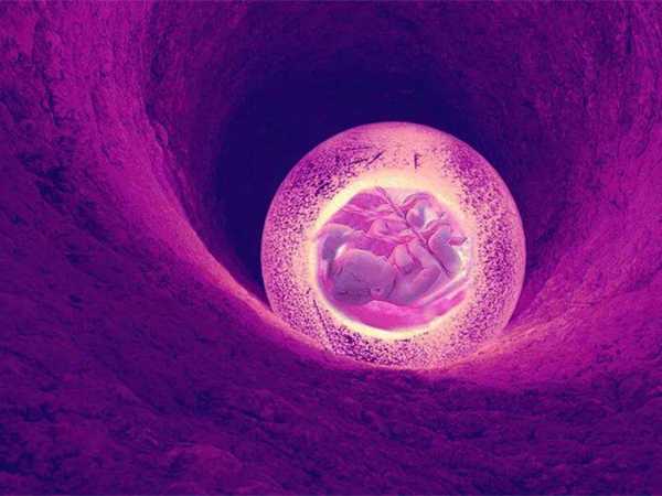 第三代试管容易出现胚胎嵌合体吗？