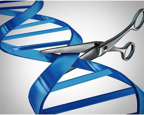 深圳助孕价格,深圳代生男孩,深圳代生妈妈,地下代孕市场调查｜“卵妹”遭盘剥