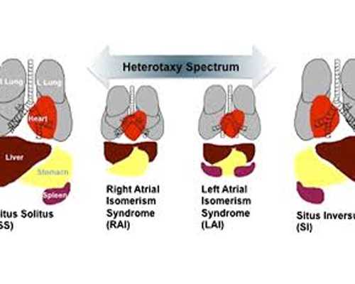 重庆妇幼保健院第三代试管婴儿费用及代妈佣金解析