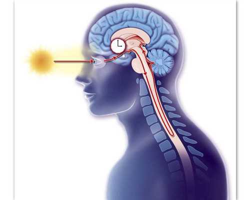 重庆三代试管婴儿医院排名与代生助孕服务解析