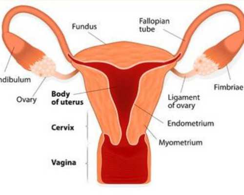 河南代妈赴泰试管助孕平台推荐指南