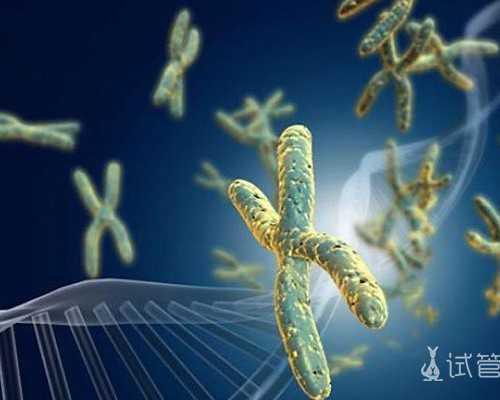 广州供卵试管代怀生子医院排名及费用明细解析