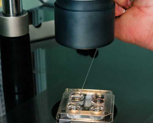 重庆妇幼保健院试管婴儿成功率与代怀服务评价分析