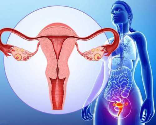 2024代妈教育数据年鉴：师生比异常解析与求推荐