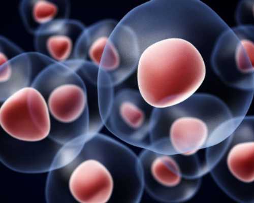 代妈宁儿妇产医院全球招聘岗位及胎心监护常见问题解析