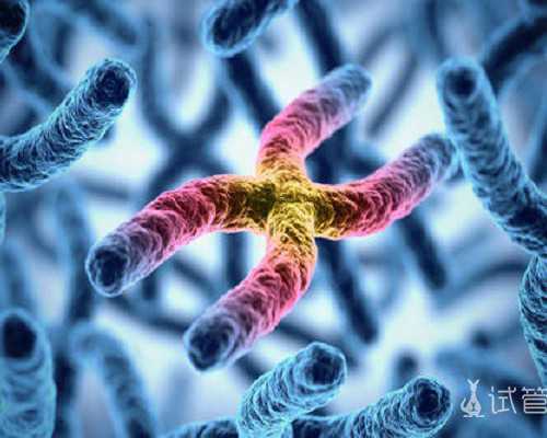 代妈三医院试管专家挂号时间及高龄二胎助孕指南